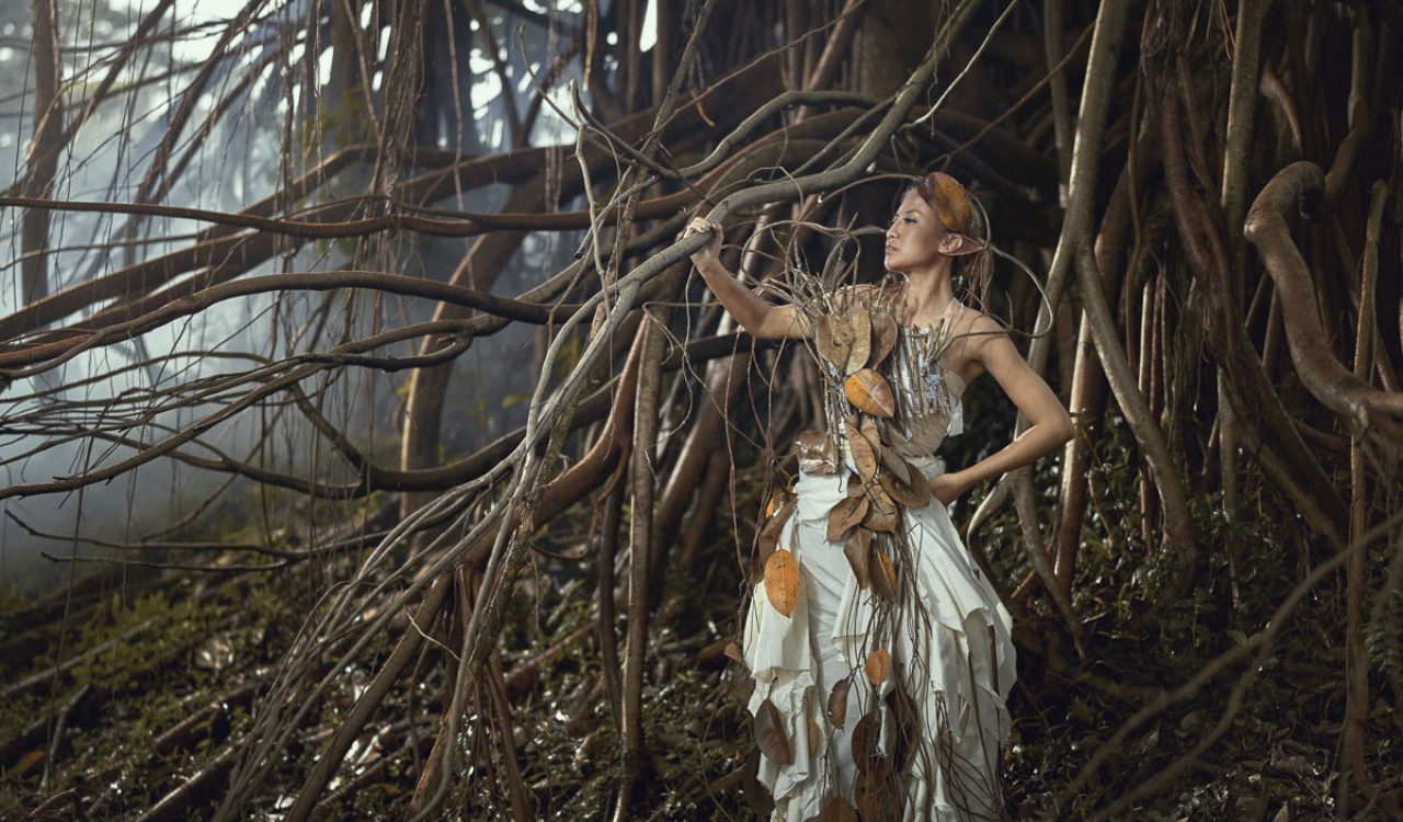 MS The Beginning of Light 2 zu 3